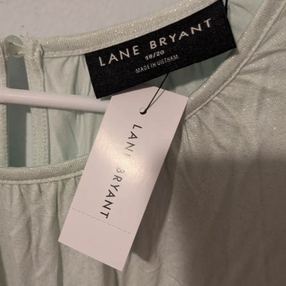 Lane Bryant Pale Green Sparkle Long Sleeve Smocked Cuff Top Size 18/20 or 2X